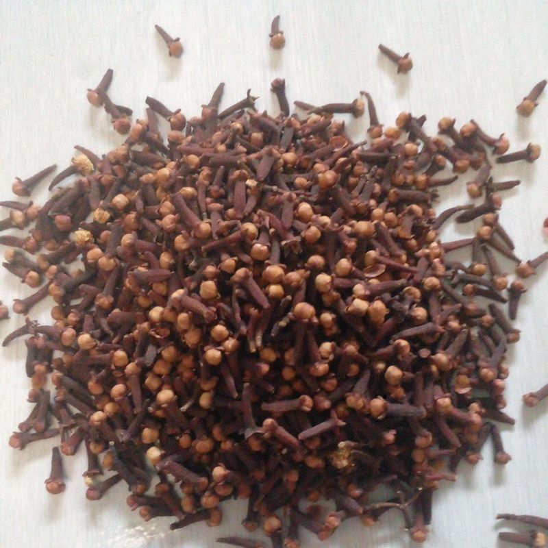 

Cengkeh Kering rempah Indonesia berkualitas