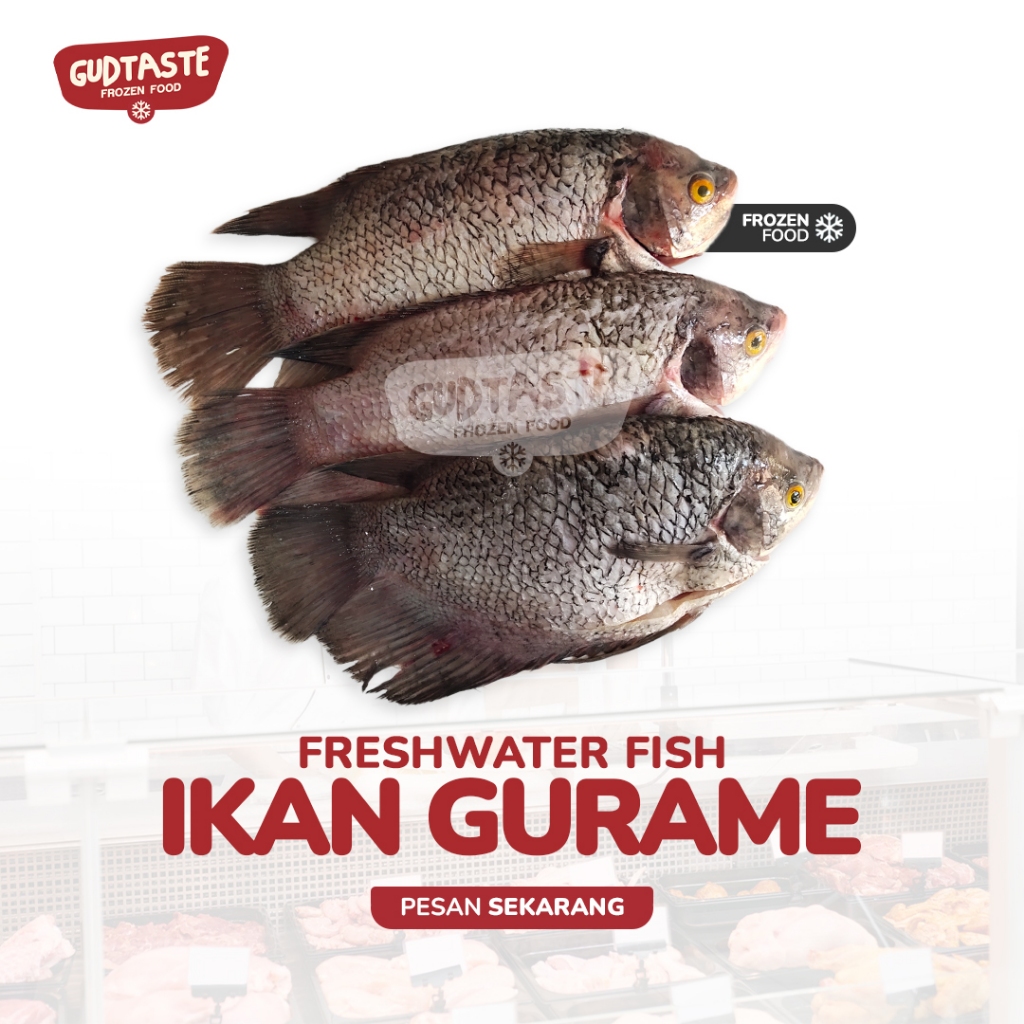 

Ikan Gurame - Gurame Bersih - Gursme Fish - Jual Ikan - Gurami - Seafood - Surabaya - Sidoarjo