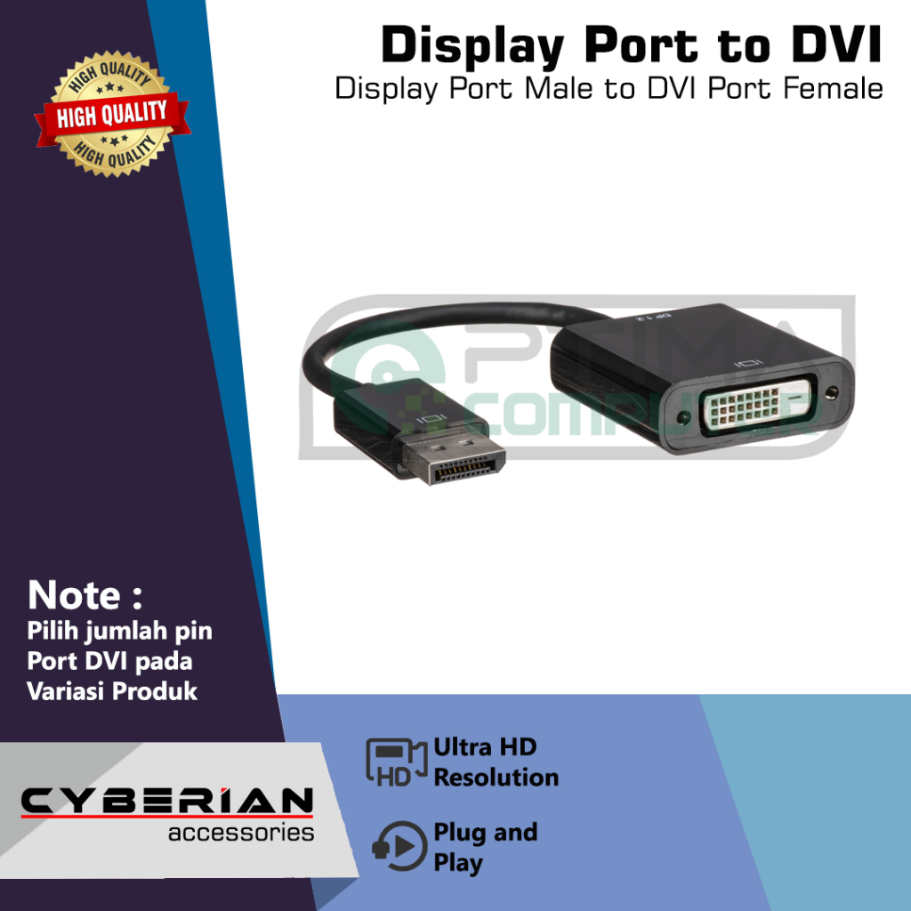 Display Port to DVI Converter
