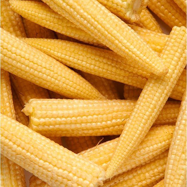 

Baby Corn / putren 250gr