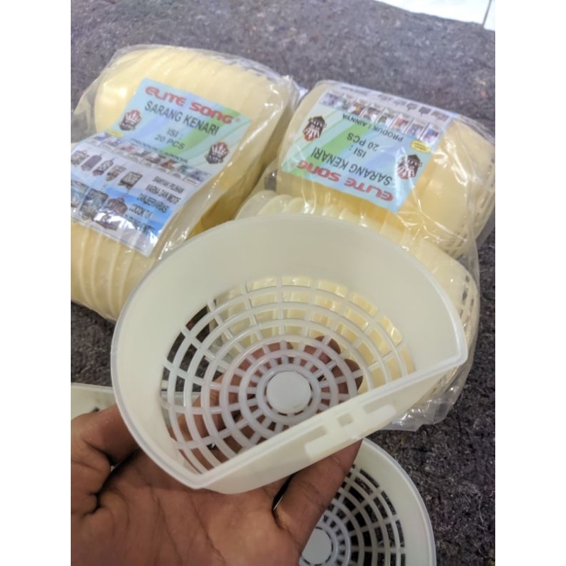 Grosir Sarang Burung Kenari Elite Song Isi 20pcs Tarangan Kenari Sarang Burung