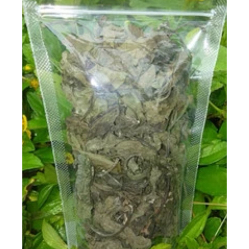 

Daun sambung nyawa kering natural organik-az