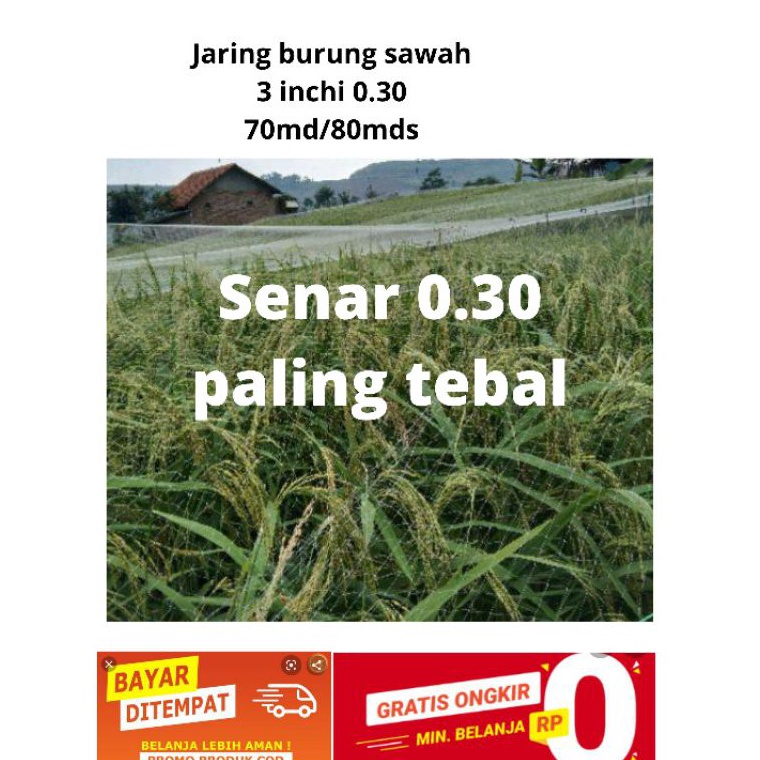 KODE S93V Jaring burung sawah senar paling tebal 3 Lebih awet jaring padi jaring burung jebakan buru