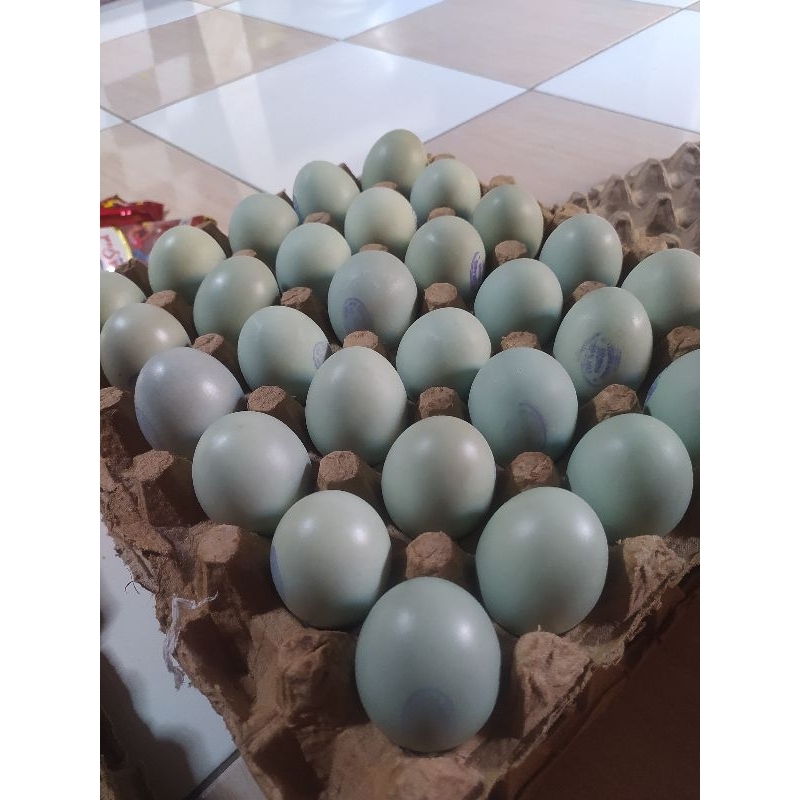 

Telur asin matang 1 pcs ukuran sedang.