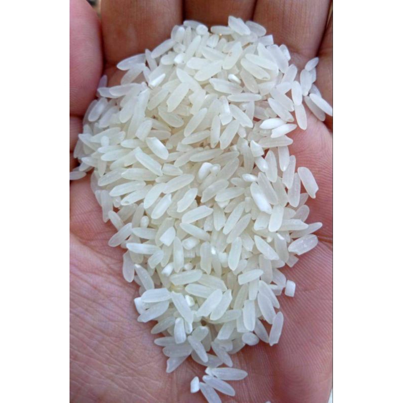 

BERAS LOKAL 1KG REPACK PLASTIK PLASTIK BIASA ROJOLELE DAUN SUJI RINJANI PREMIUM