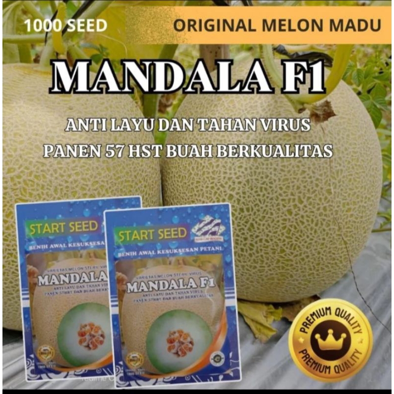 

Melon madu MANDALA F1 - Tahan virus isi ±1000 biji