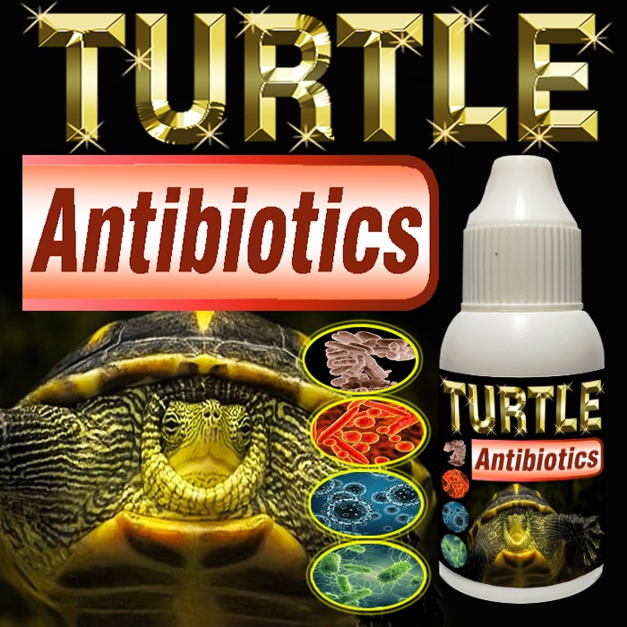 TURTLE ANTIBIOTICS SUPLEMEN KESEHATAN PERNAPASAN DAN PENCERNAAN REPTILE KURA-KURA AIR KURA RES BRAZI