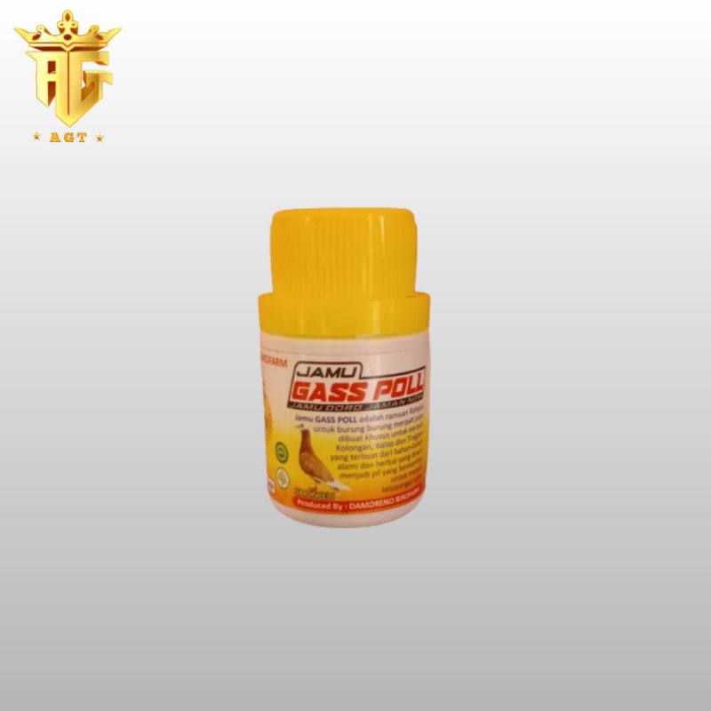 jamu merpati gass poll