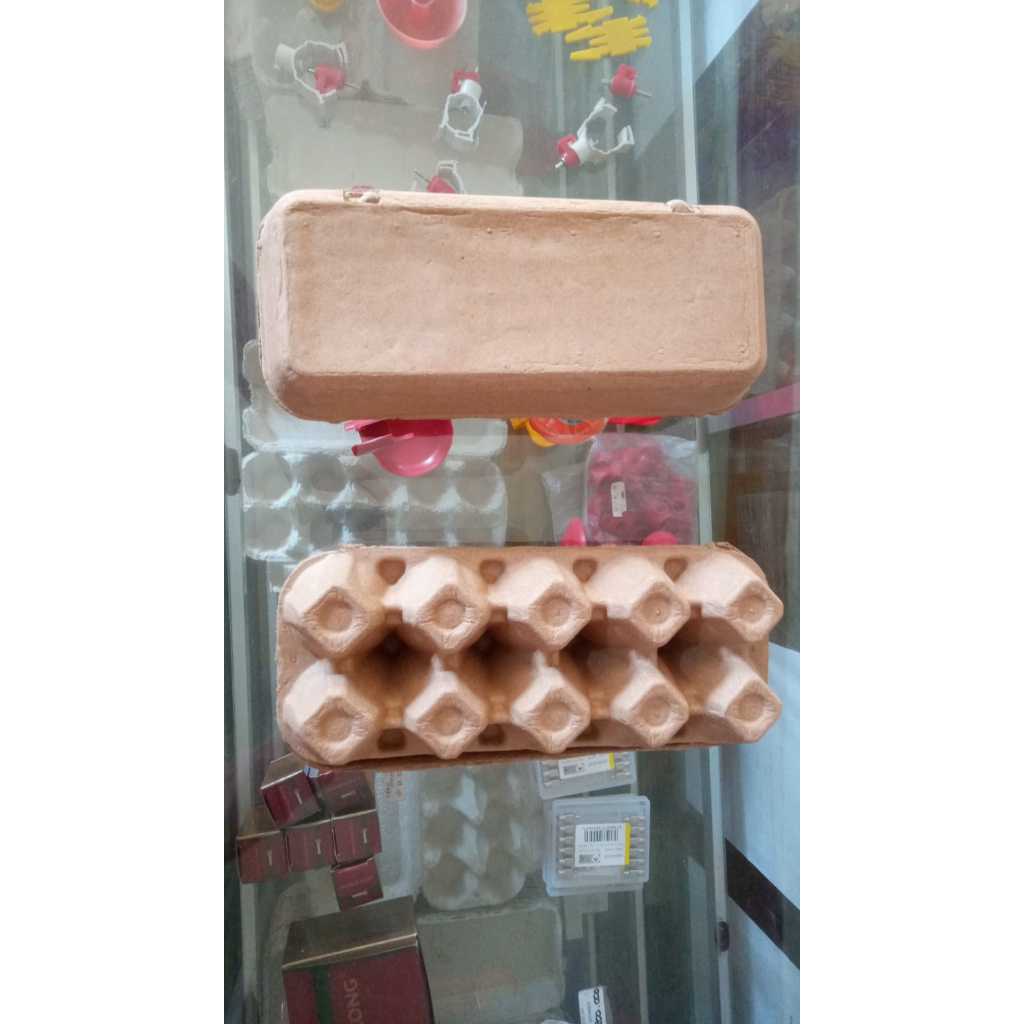 Box tempat telur karton (egg box) isi 10 butir