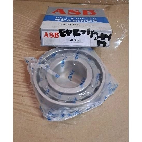 Lahar / Bearing NF309