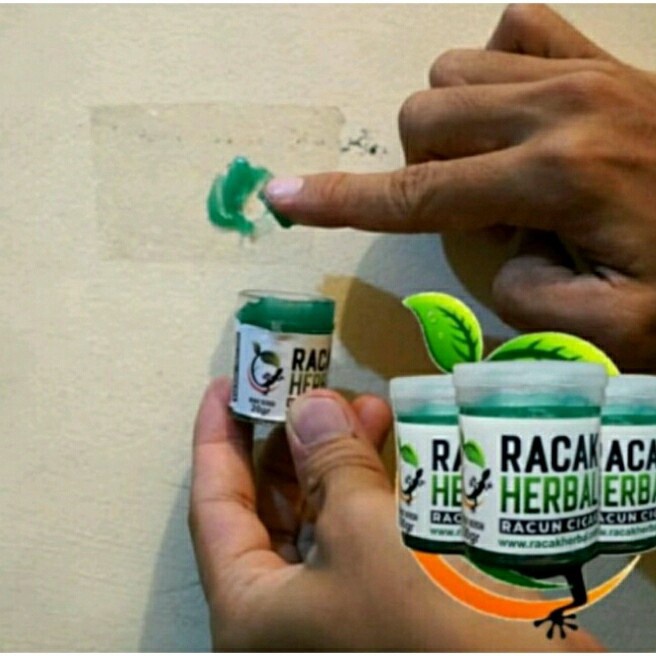 STAR Racun Cicak Herbal Paling ampuhRacun Cicak  TokekRacun Cicak Racak