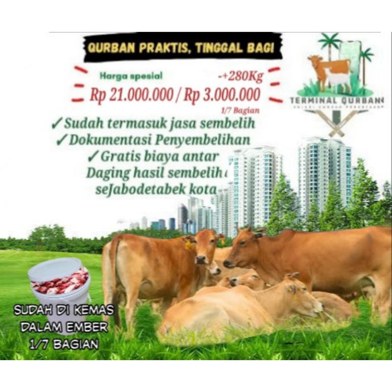 Promo Terminal Qurban Bilik Bambu " Sapi Kolektif Tipe B 1/7 Bagian"