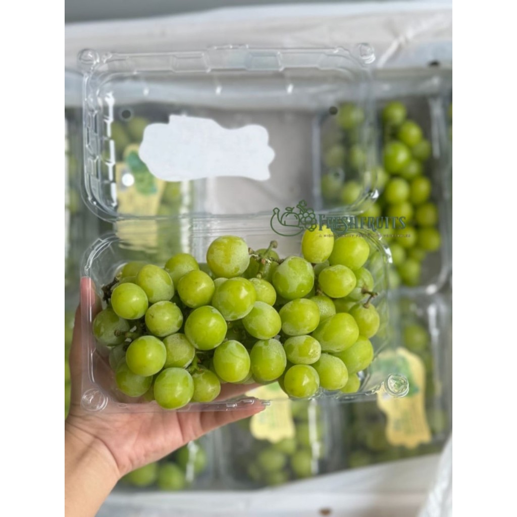 

Anggur Shine Muscat 500 Gram