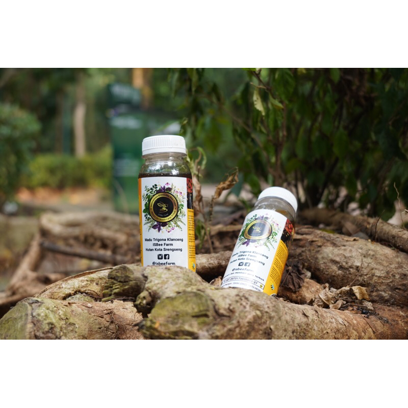 

Madu Trigona Klanceng ISBEE FARM