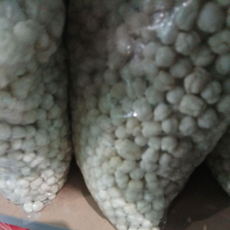 

pilus kencur 1 kilo