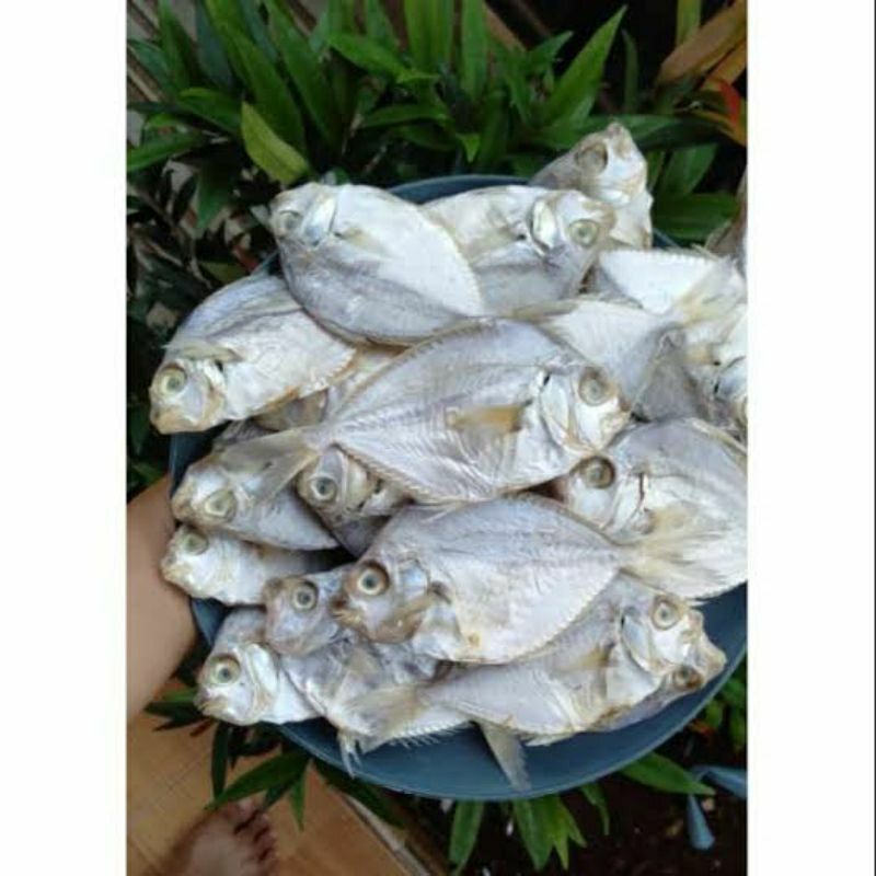 

IKAN ASIN DODOK Uuenakk gurih hemat murah juara ✔