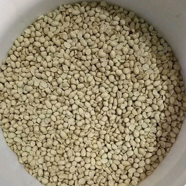 kacang tanah kupas 1kg / kacang