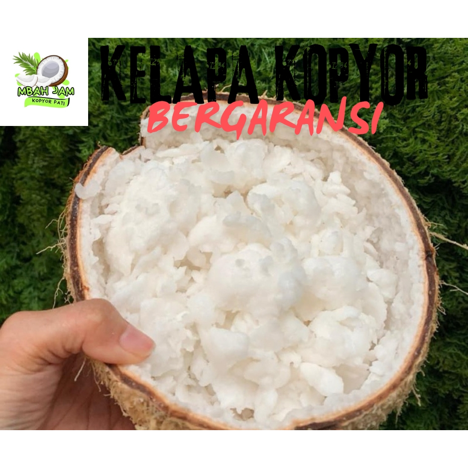 

kelapa kopyor ukuran 49-50 CM