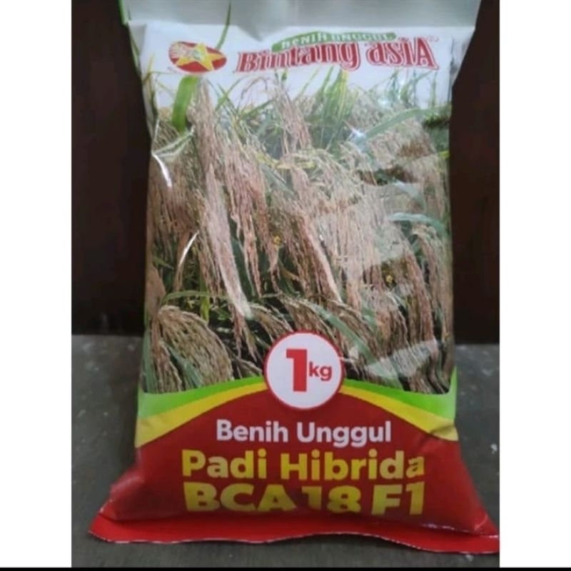 Benih Padi Hibrida BCA-18 F1 1kg
