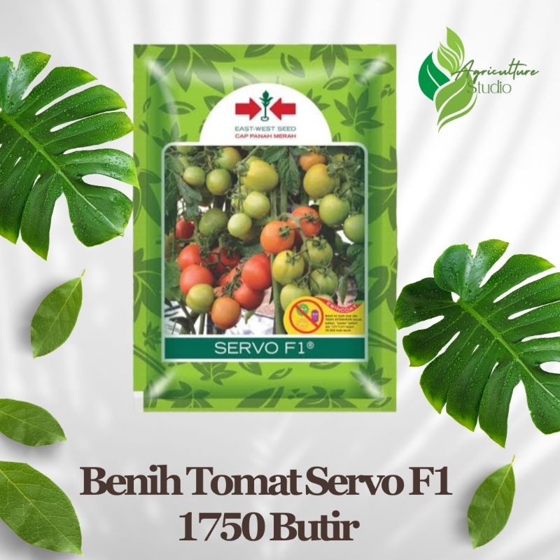 Benih Tomat Servo F1 1750 Butir Original kemasan pabrik