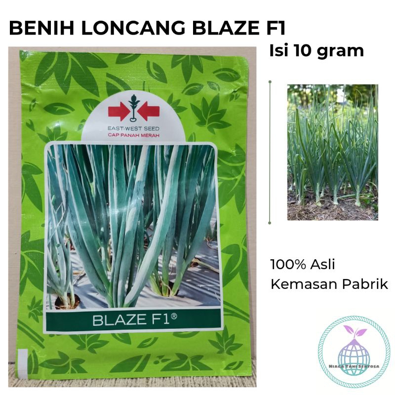 Benih Daun Bawang/ Loncang Blaze 10 gram Cap Panah Merah