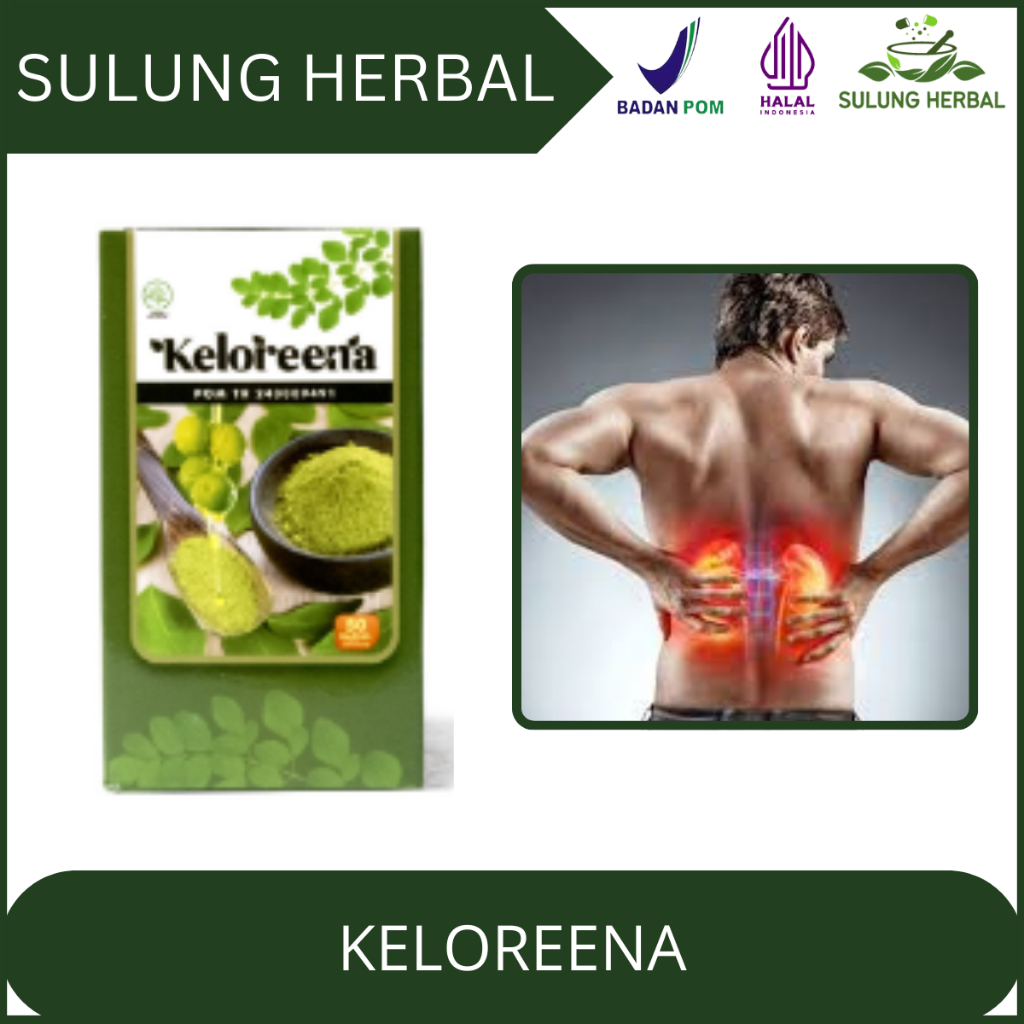 Sulung Herbal - Keloreena Obat Sakit Ginjal, Obat Ginjal Bocor, Obat Gurah Ginjal, Obat Ginjal Kotor