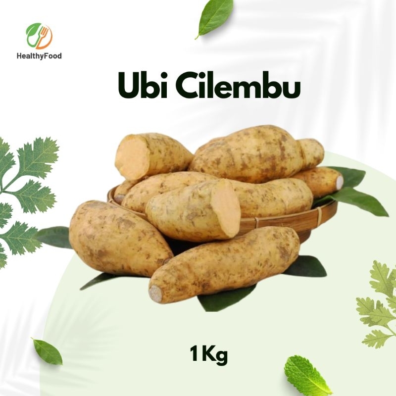 

Ubi Cilembu