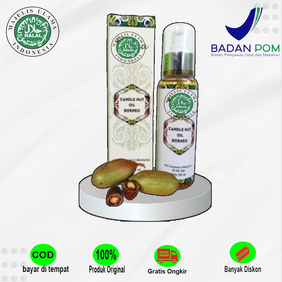 Zivaa Borneo Obat Penumbuh Rambut Botak Rontok Cepat Candle Nut Oil