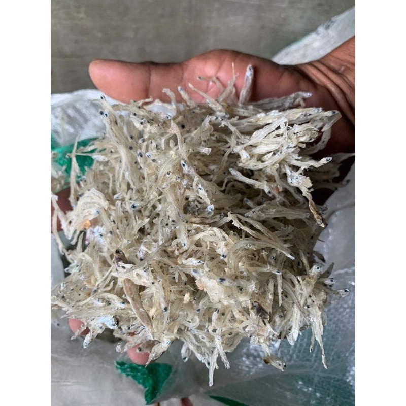 

TERI/PREMIUM/TERISUPERPREMIUM/TANPA OBAT/TERI CANTIK