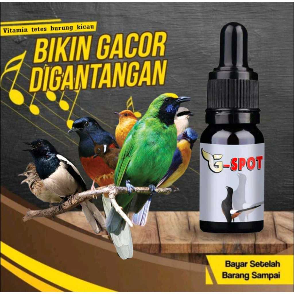 G Spot metabolis vitamin burung penggacor untuk burung murai batu c.ijo kacer cendet trucuk