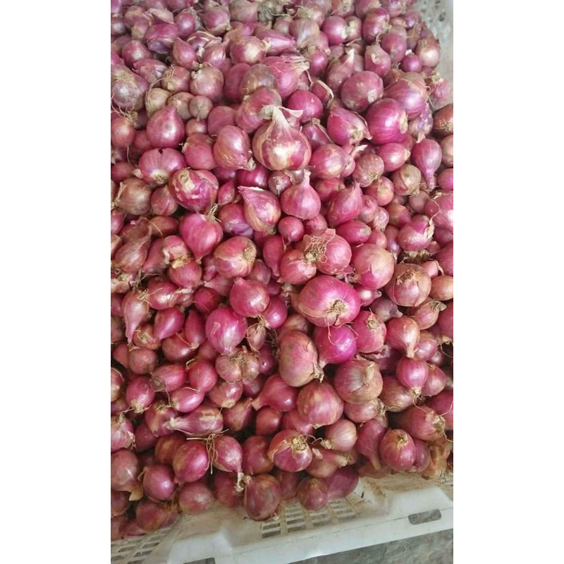 

bawang merah super kering 1 kg