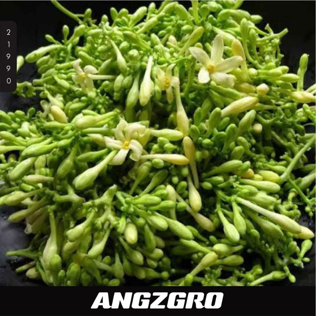 

Bunga Pepaya per 100 gram SBY