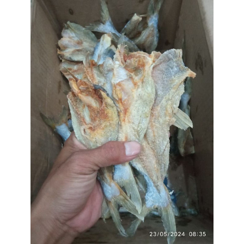 

jambalroti ukuran sedang