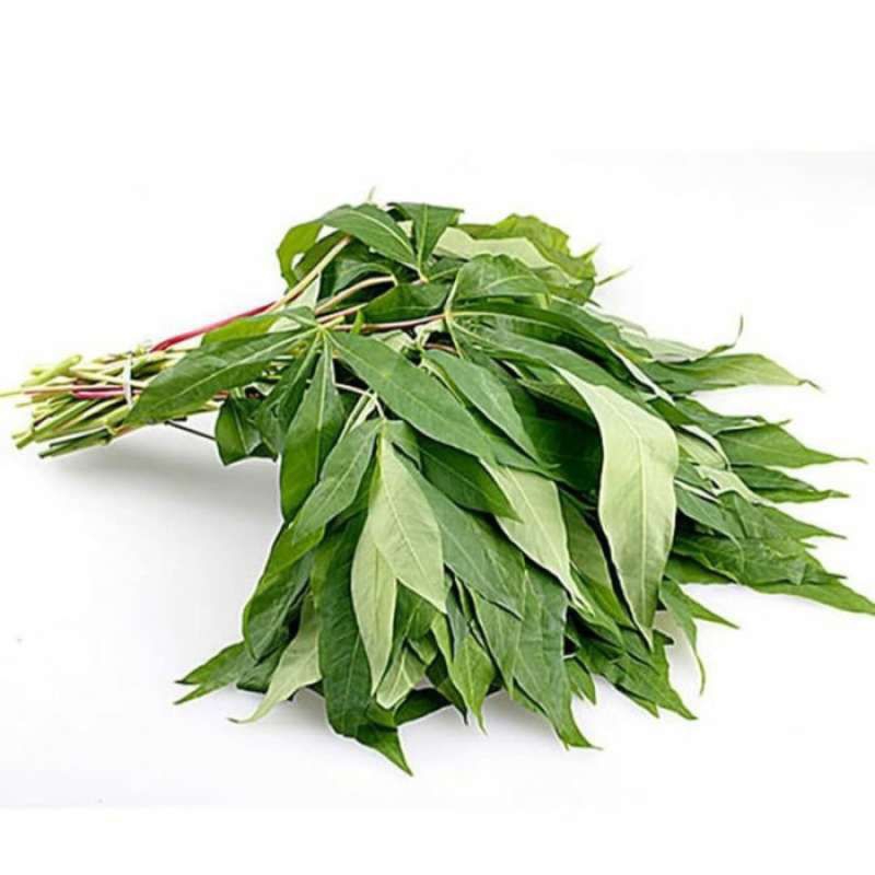 

Daun singkong per ikat
