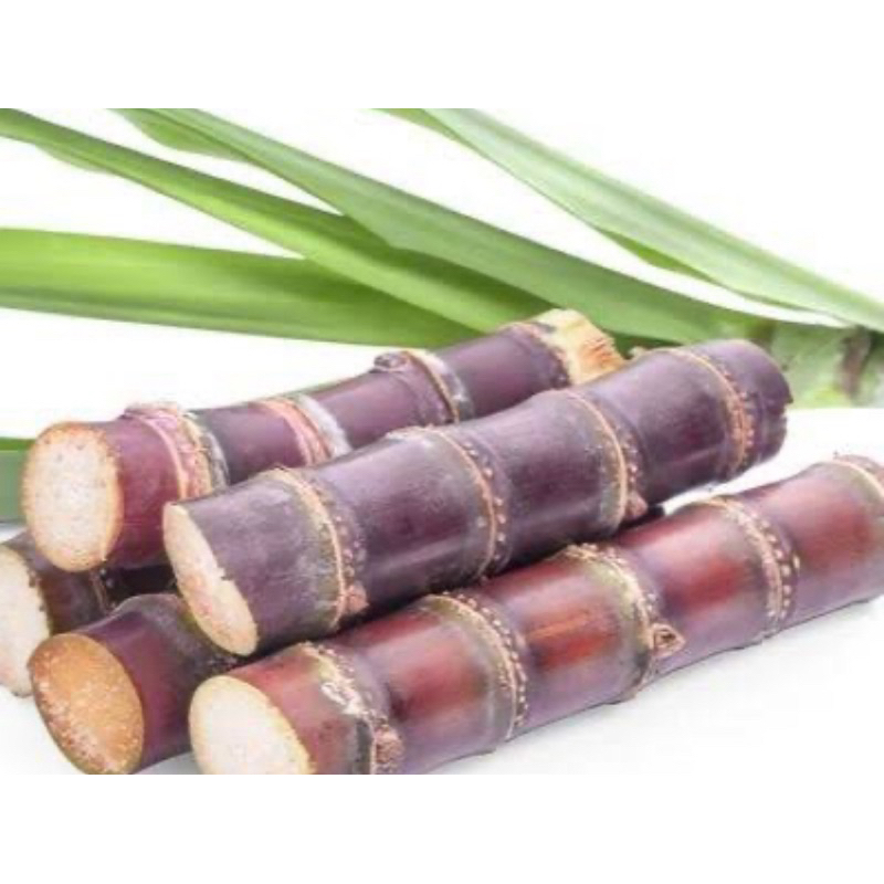 

Tebu merah segar tebu manis 500 gram-az