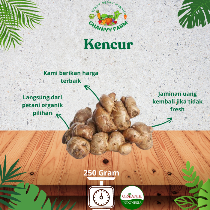 

Kencur Organik 100Gram