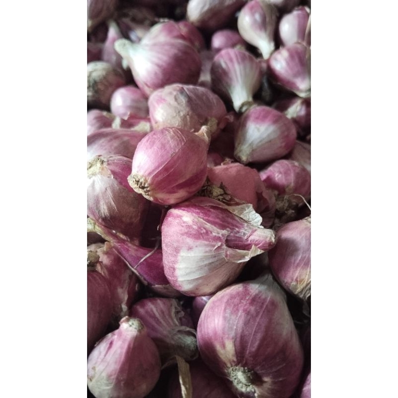 

BAWANG MERAH LOKAL BERKUALITAS 1 KG