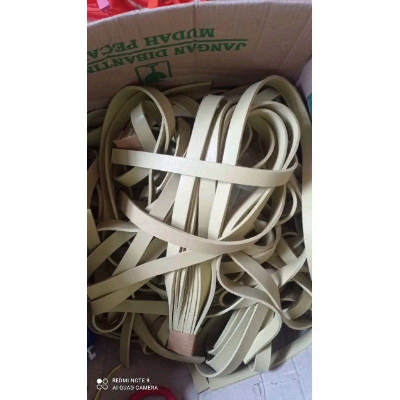 Karet pipih panah ikan