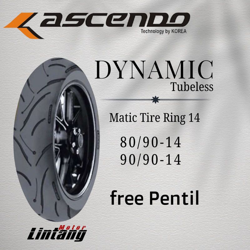 Ban motor Ascendo DYNAMIC ring 14 Tubeless