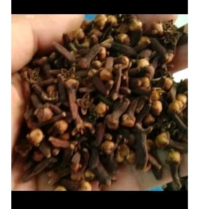 

Cengkeh Super Premium nett : 5 gram/ jamu / bumbu dapur
