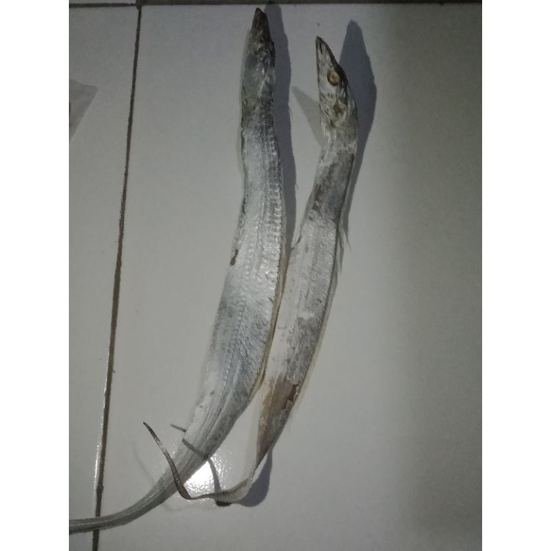 

Ikan kering (tawar dan asin)