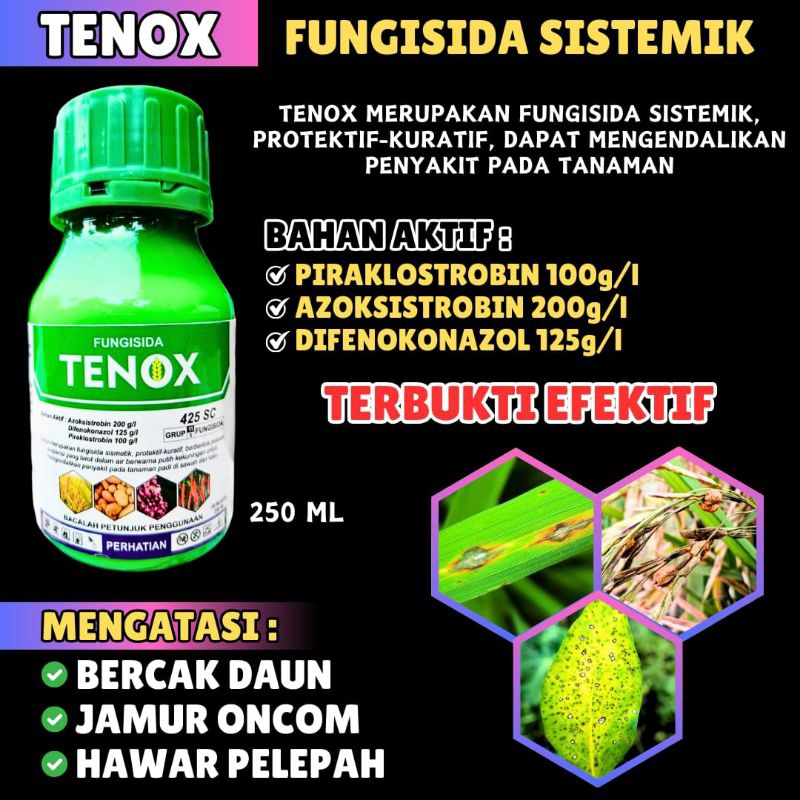 Solusi petani atasi jamur ,fungisida sistemik dan kontak, pengendali jamur tanaman, fungisida untuk 