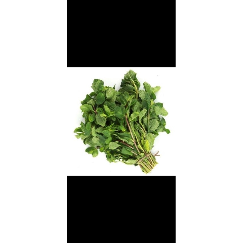 

Daun mint 100-150 gr