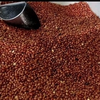 

KACANG TANAH GORENG 500 GRAM