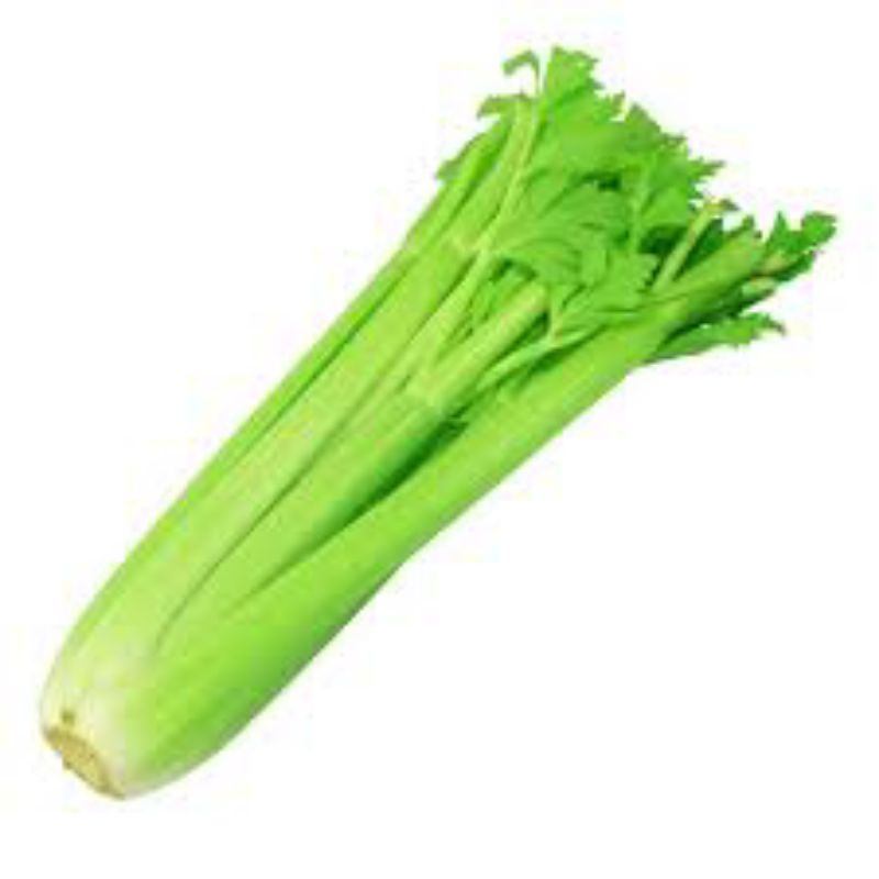 

celery stick/500gram