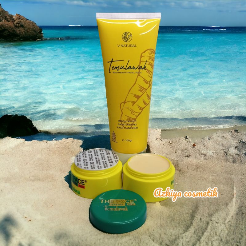 Paket 3in1 V Natural Facial Foam + Cream The Face Temulawak