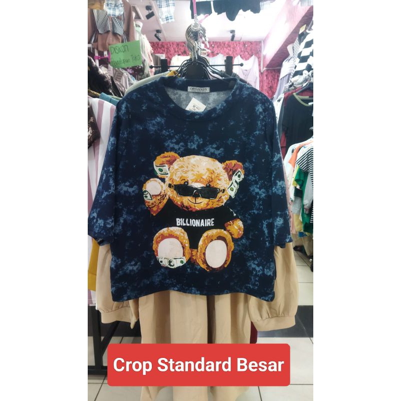 Crop oversize teddy bear beruang kaos washed wanita murah