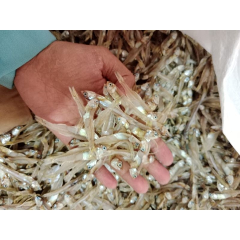 

ikan teri ceples tawar 1kg