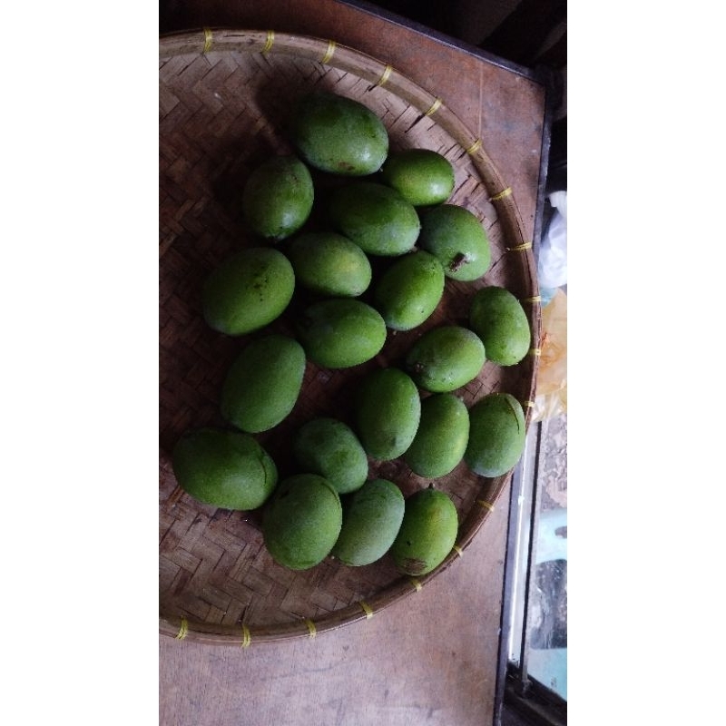 

Orderan Eda Ignas Kweni