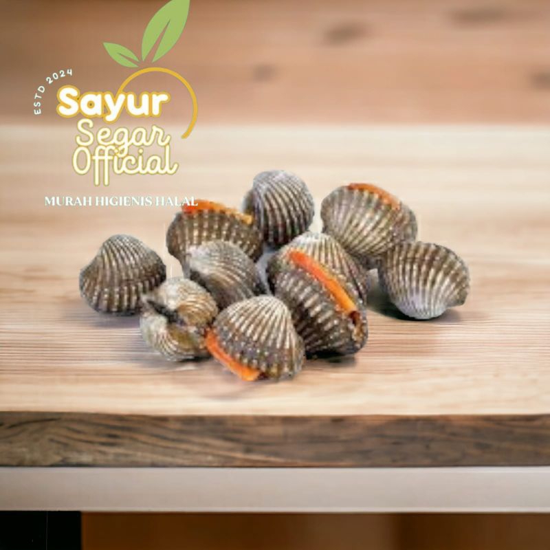 

Kerang Dara Segar 500gr